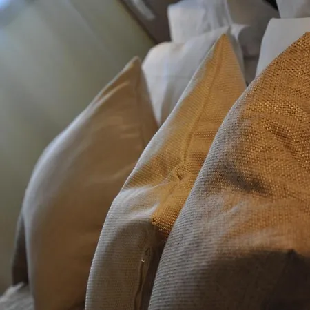 彼得拉卡酒店 3* Boara Pisani