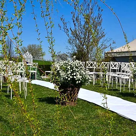 Petrarca Boara Pisani